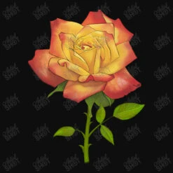 Rainbows End Rose Crop Top -ThreadNest Store d.2509949789.24947797.s3.1 0e0e0e YXJ0aXN0c2hvdA 800x800 1