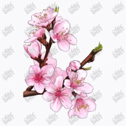 Peach Blossom Illustrations T-Shirt -ThreadNest Store d.2510176350.24945595.s3.1 f9f9fb YXJ0aXN0c2hvdA 800x800 1