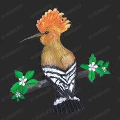 Hoopoe Bird Toddler T-shirt -ThreadNest Store d.2515723617.25026001.s3.1 292929 Qndpc2VsaXp6eQ 800x800 1