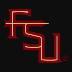 Fsu Crop Top -ThreadNest Store d.2526373399.25088048.s3.1 0e0e0e bm9uZQ 800x800 1