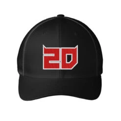 2D Embroidered Embroidered Mesh Cap