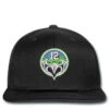 12 Eagle Embroidered Hat Snapback