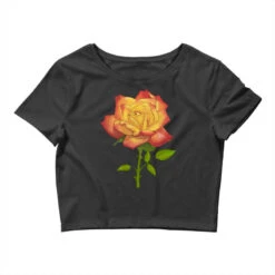 Rainbows End Rose Crop Top