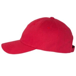 Cartoon Bird Embroidered Hat Embroidered Dad Cap -ThreadNest Store pmd.26007701.165.407257.s3.1 front scarlet2 ffffff none x34y7 177 800x800 1